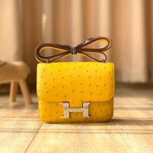 Hermes constanceϵ�� ���R�˿����� ���ֹ������r�BƤ ̫��S